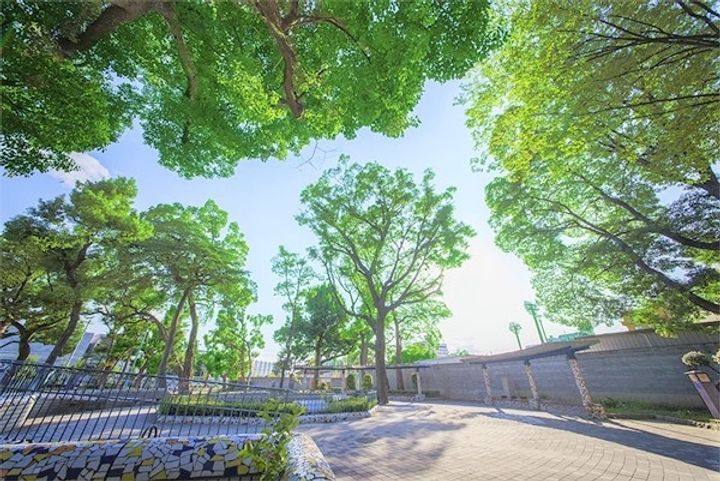 ラシーヌ新北野の周辺