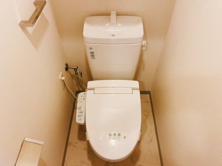 東京都世田谷区新町1(マンション)の賃貸物件の内装