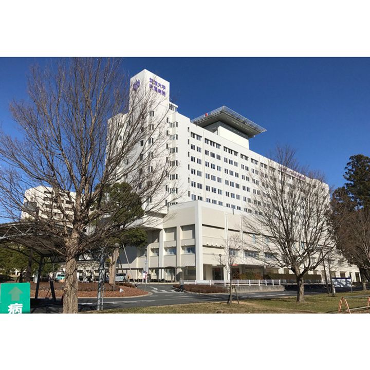 ザ・ドリーム IIの周辺