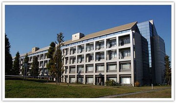 サラデカサの周辺