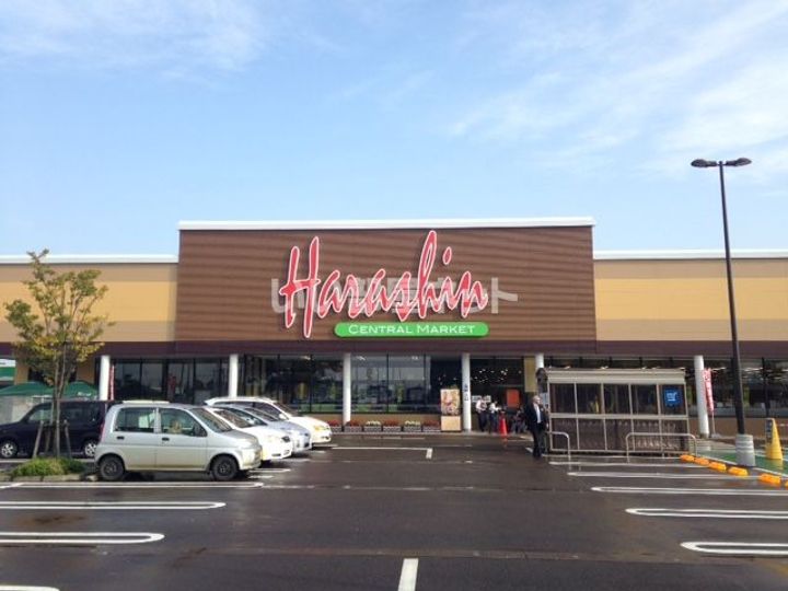 ヒラソルの周辺