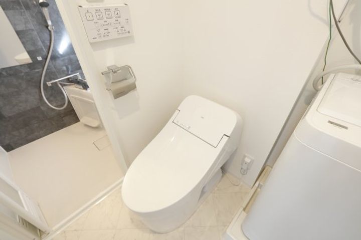 東京都葛飾区柴又5(マンション)の賃貸物件の内装