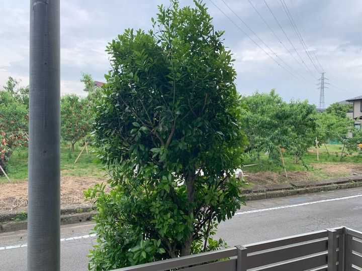 群馬県高崎市剣崎町(アパート)の賃貸物件のその他画像