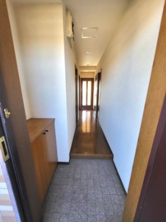 千葉県成田市並木町(マンション)の賃貸物件の玄関