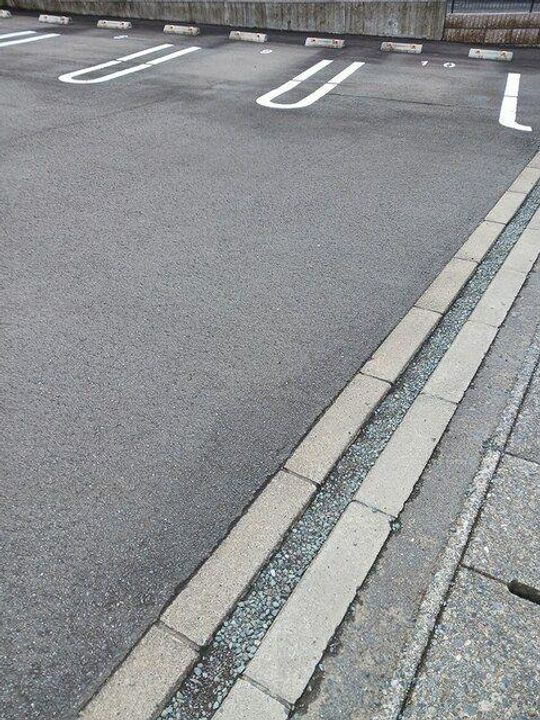 ヒラソルのその他画像