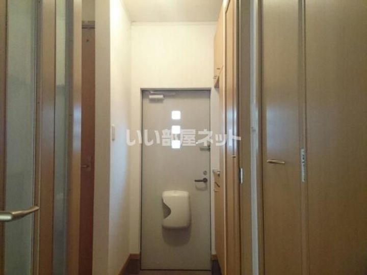 プラシードβのその他画像