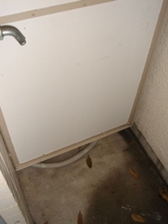 東京都中野区新井1(マンション)の賃貸物件の内装