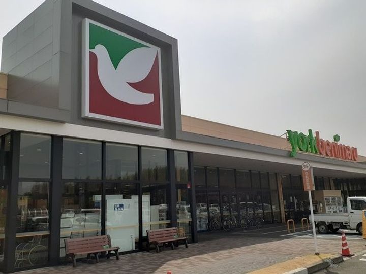 ダンデ ライオンAの周辺