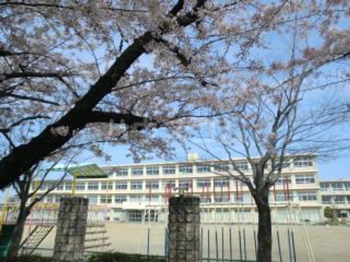 セブンヒルズの周辺