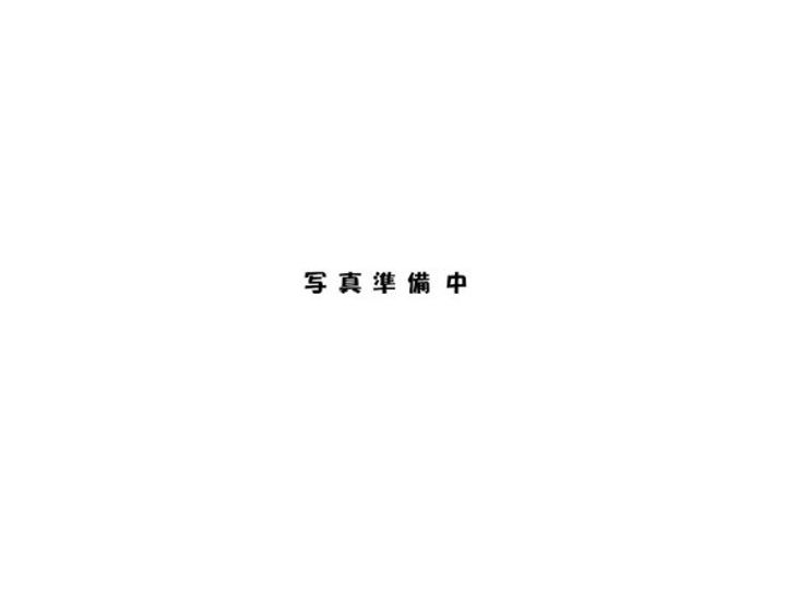 神奈川県横浜市金沢区乙舳町(マンション)の賃貸物件の玄関