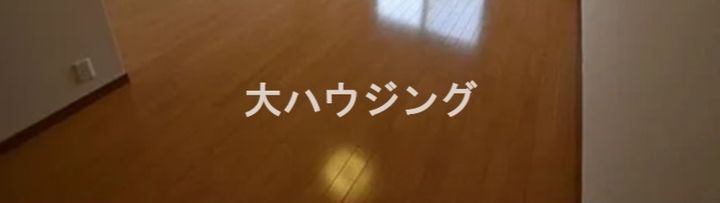 T’s garden六郷土手の居間
