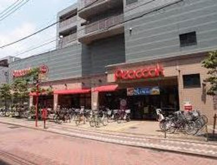 東京都世田谷区東玉川1(一戸建)の賃貸物件の周辺