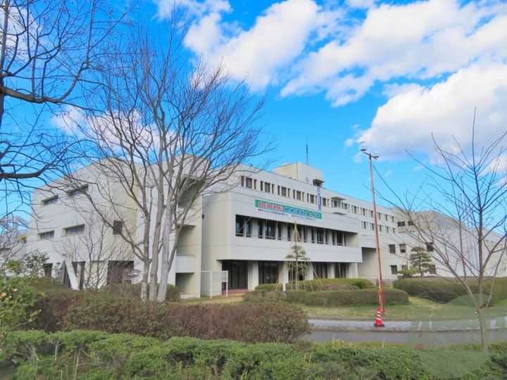 メリディアン川平四番館の周辺