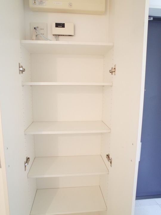 東京都中央区銀座4(マンション)の賃貸物件の玄関