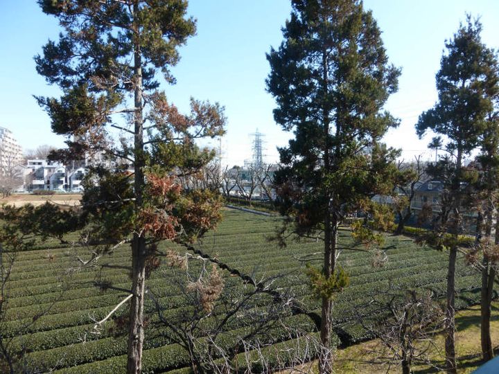 東京都府中市晴見町2(マンション)の賃貸物件のその他画像