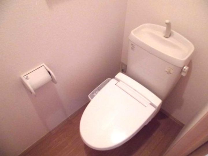 埼玉県行田市旭町(アパート)の賃貸物件の内装