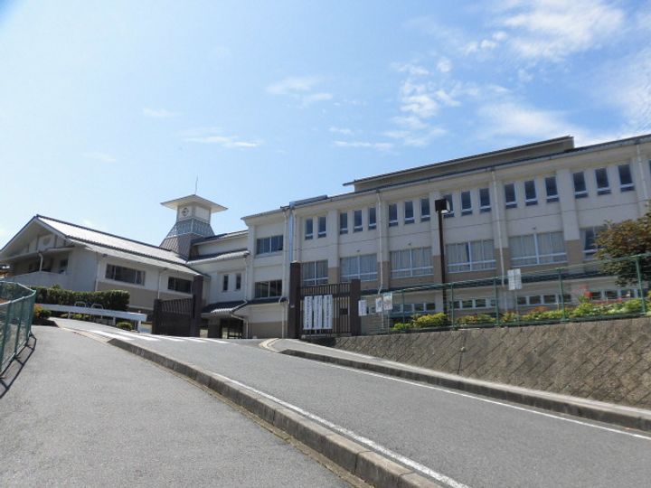 トラッド・シマダの周辺