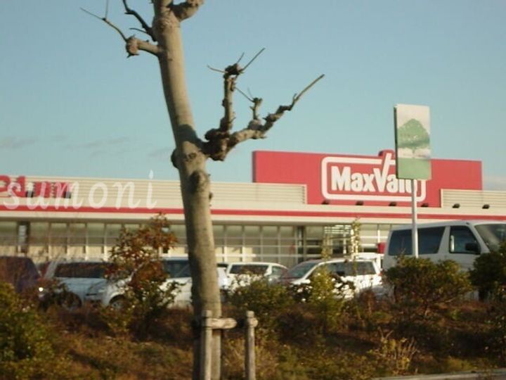 カーサリバティの周辺