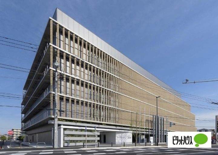 プレジオーソの周辺