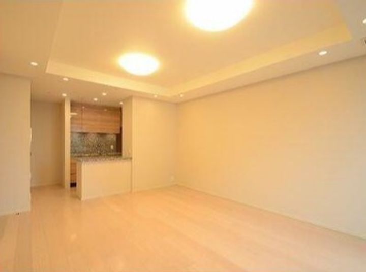 東京都港区六本木1(マンション)の賃貸物件の居間