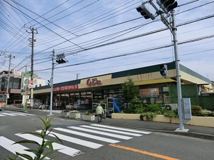 神奈川県藤沢市弥勒寺1(一戸建)の賃貸物件の周辺