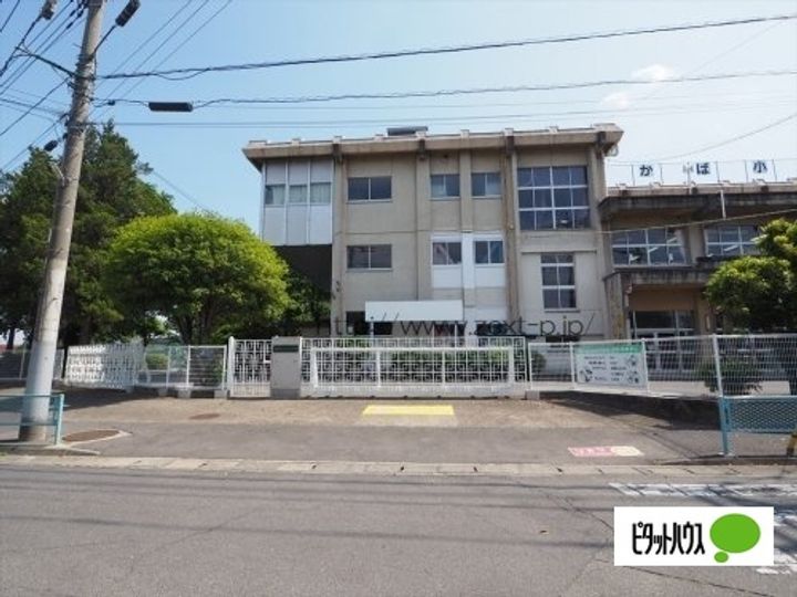 リティディアンの周辺