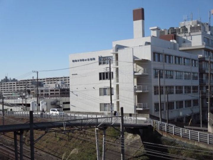 神奈川県横浜市緑区北八朔町(マンション)の賃貸物件の周辺