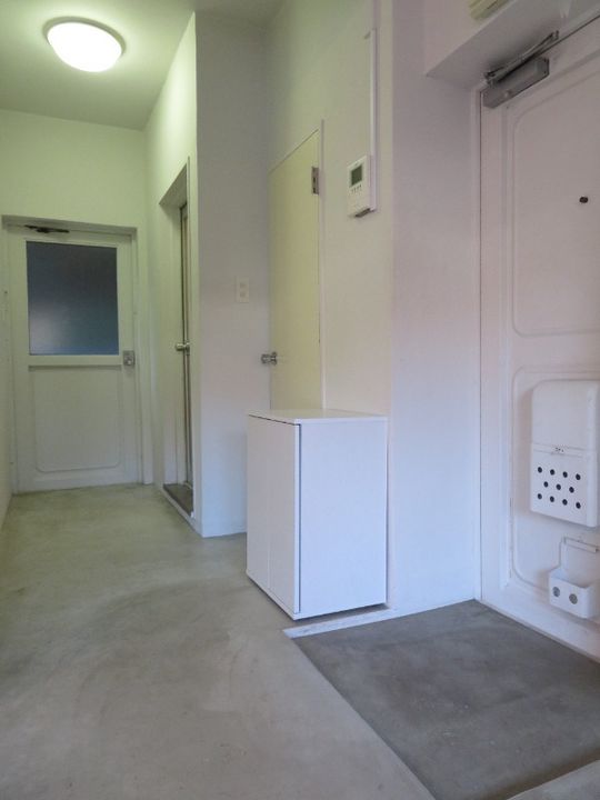 メゾンドカルピヨンBの玄関