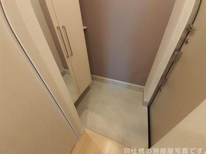 京都府京田辺市三山木野神(アパート)の賃貸物件の玄関