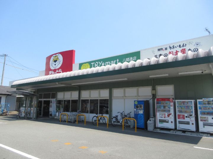 フジマンションの周辺