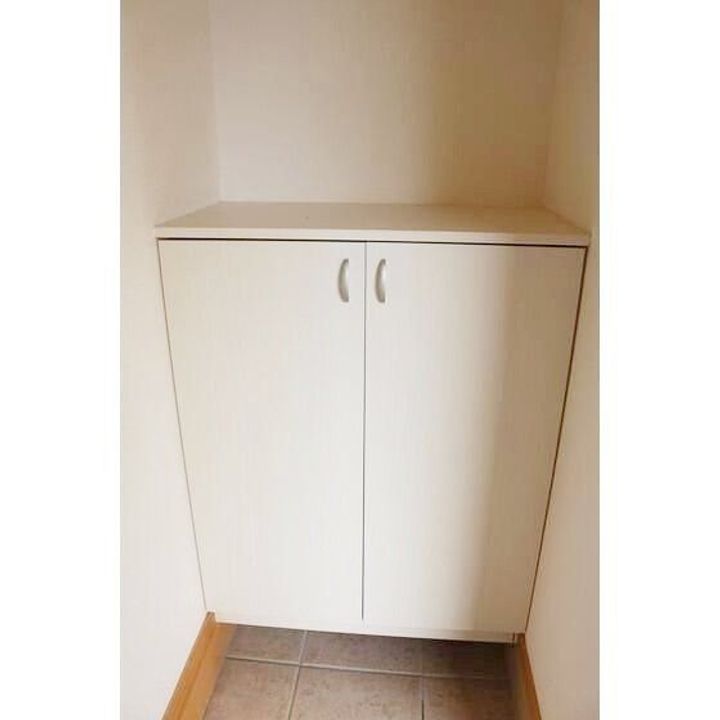 埼玉県比企郡小川町大字勝呂(アパート)の賃貸物件の玄関