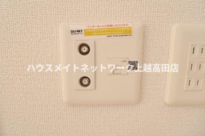 モンステラの地図