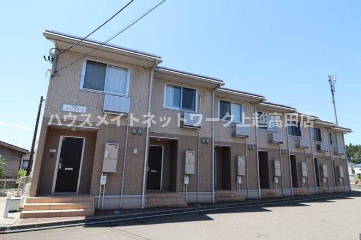 モンステラの外観