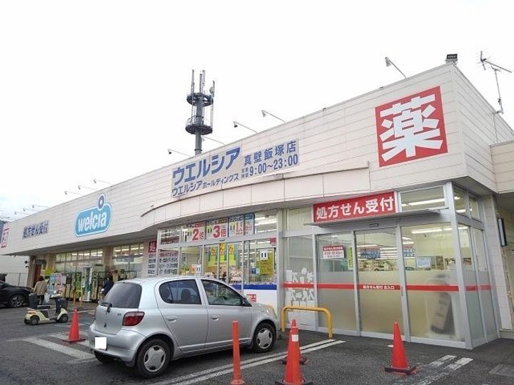 コキアの周辺