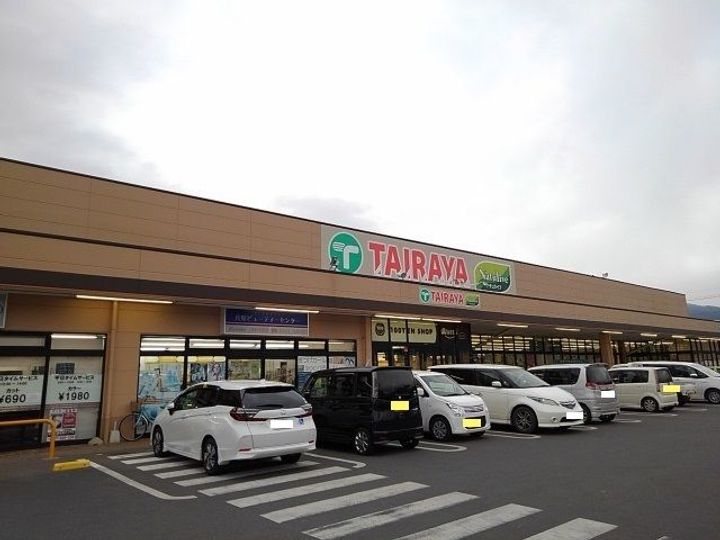 コキアの周辺