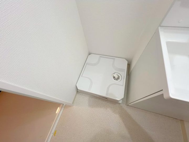 D porta mildの内装