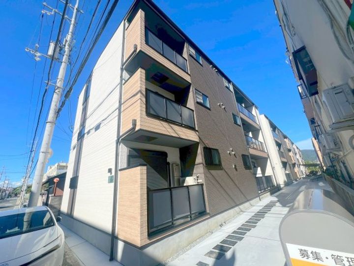 D porta mildの外観