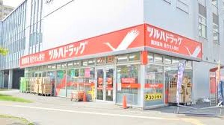 北海道札幌市中央区北八条西13(マンション)の賃貸物件の周辺