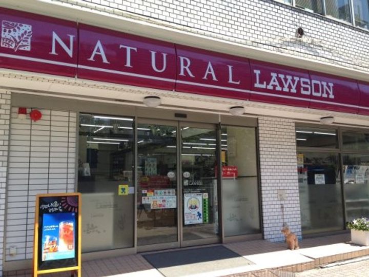 東京都渋谷区神山町(マンション)の賃貸物件の周辺