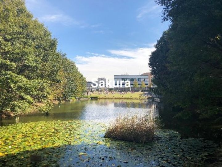 センターステージの周辺