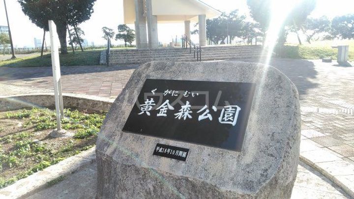 パークテラスの周辺