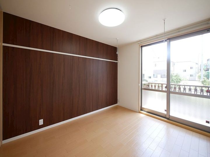 ステラのその他画像