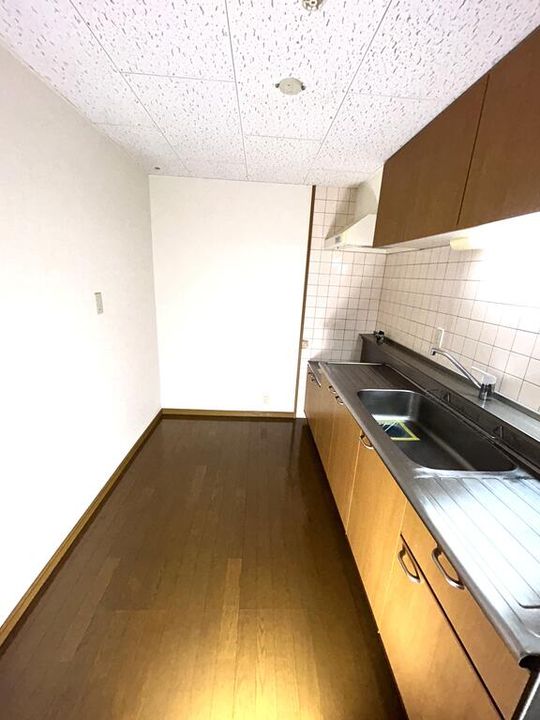 熊本県熊本市東区長嶺南8(マンション)の賃貸物件のキッチン