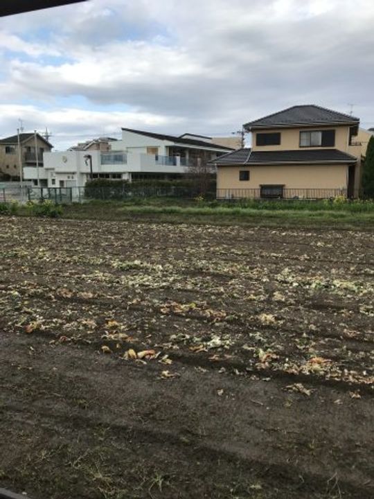 マーシャルハイツ矢崎のその他画像