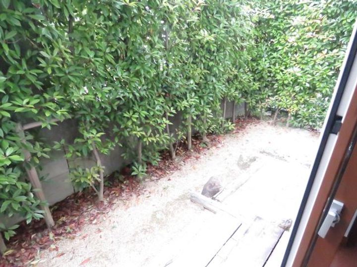 愛知県名古屋市千種区園山町2(一戸建)の賃貸物件の内装