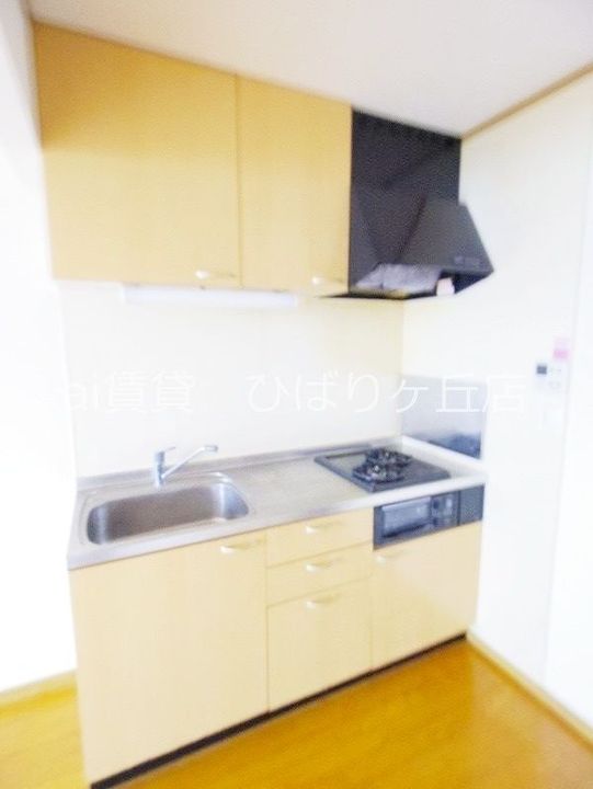 東京都練馬区大泉学園町6(一戸建)の賃貸物件のキッチン