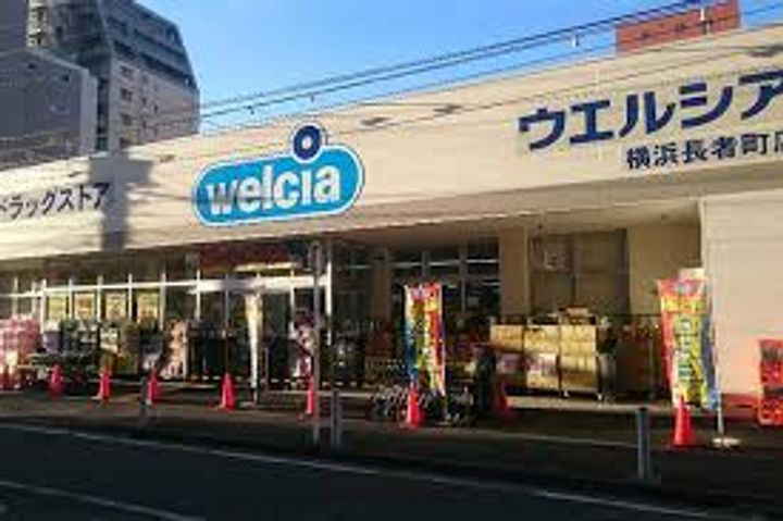 ブリシア横濱石川町の周辺