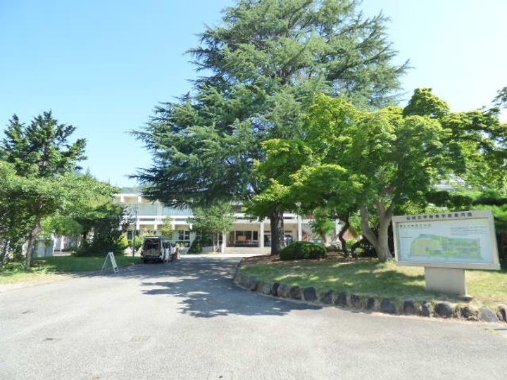 ルミエールMKの周辺