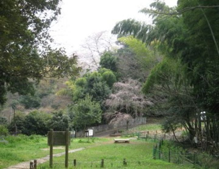 神奈川県川崎市高津区千年(アパート)の賃貸物件の周辺
