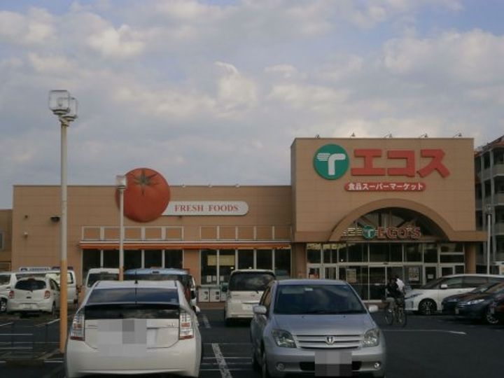 千葉県八千代市上高野(一戸建)の賃貸物件の周辺